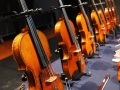 Violin Exhibition.jpg