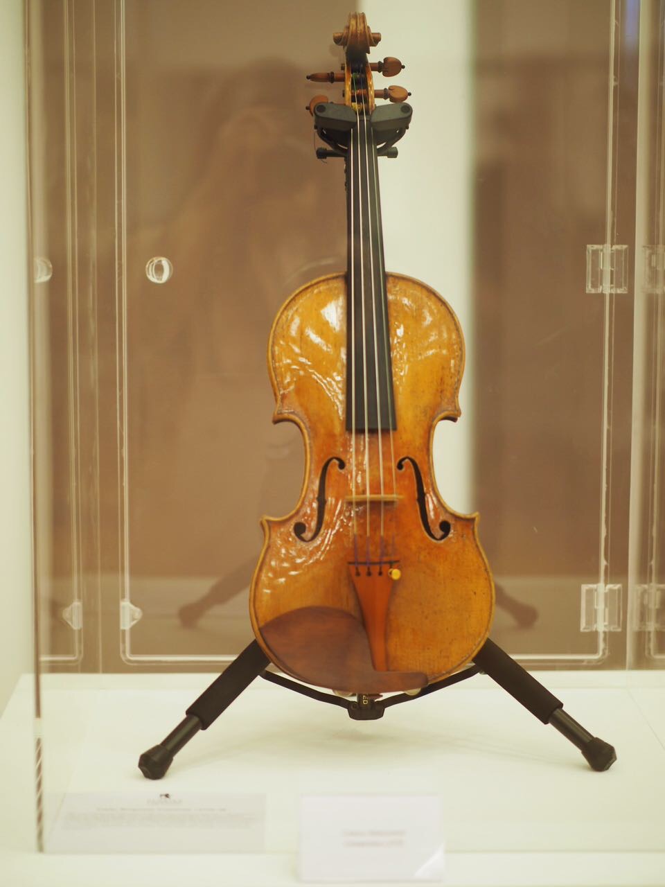Foundation Instruments Collection - Violin
